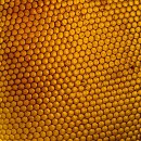 ♣ 꿀 효능 -면역력 강화에 좋은음식 꿀의 효능 ♧주의 사항 ♣ 이미지