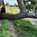 어물보건진료소 이미지