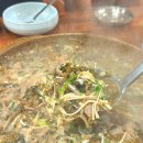 백토미가 이미지