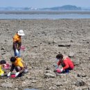 선재어촌체험휴양마을 이미지