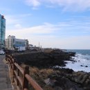 눈앞에 바다 이미지