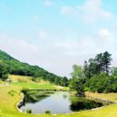 로얄스크린골프장 이미지