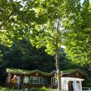 옥구공원숲속도서관 이미지