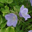 싹독싹독 이미지