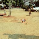 하람이 임보일기 &amp; 왕자 반려일기!!! 겸 강화도 반려견 동반 글램핑 후기^^ 이미지