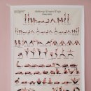 빈야사요가c 이미지