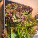 시골쌈밥 이미지