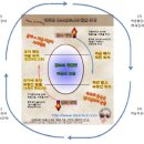 주식투자에 관한 초보의 소고(小考)-내용 추가 이미지