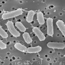 건지약국 이미지