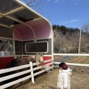 생곡리농장 | 구미 오리맛집, 구미 아이랑 외식,오리고기맛집, 일선고을