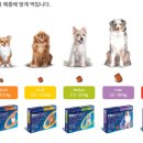 하나동물약국 이미지