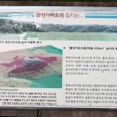 수망리청년회 이미지