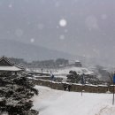 달아달아밝은달아 이미지