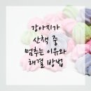 동물병원 산책 네이버블로그