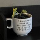 런(RuN)카페 이미지