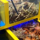 호인수산 이미지