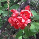 판교종합 동물병원 이미지