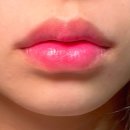 비바코리아 이미지