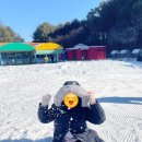 수신로 | 천안상록리조트 눈썰매장 할인 방법과 준비물, 아이들 방문 후기