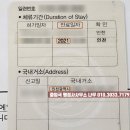 행정사사무소 나무 이미지