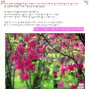 유사나 센세이 가격 천연화장품 유사나 특허품*황사 미세먼지 피부보호*아토피 여드름 건선 습진 발진 등 효과 이미지