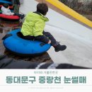 동대문구 중랑천 눈썰매장 주말 방문 후기