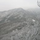 수원-1692 티스토리