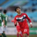 고양화전20 이미지