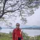 논현초등학교 이미지