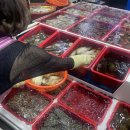 거제 코끼리조개 &#39;한아름수산&#39; 고현시장 내돈내산 포장 후기