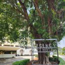 아트호텔 이미지