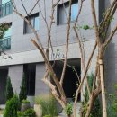 센텀스타부동산공인중개사사무소 이미지