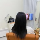 이음붙임머리 - 세종특별자치시 한누리대로 321 | 이음붙임머리