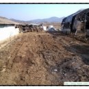 우석농장 2 이미지