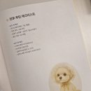 멍, 타임 이미지