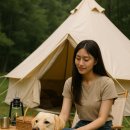 자연속의 펫 이미지