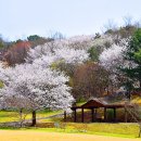 허브장군