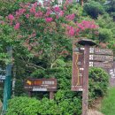 72. 팔공산 국립공원 도학야영장 캠핑후기 데크정보