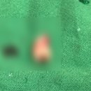다산탑구강악안면외과치과의원 네이버블로그