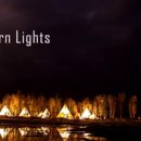 오로라민박 이미지