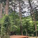 봉평마가리 캠핑장 이미지