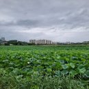안산화랑오토캠핑장 이미지