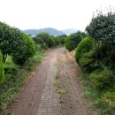 기러기농장 이미지