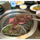 안심농장 Daum카페