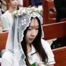 연중 제 22주일 미사, 첫 영성체, 태아산모 축복식 240901 이미지