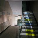 피피코인 노래연습장 이미지