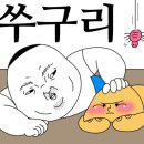 프라임마켄동해 이미지