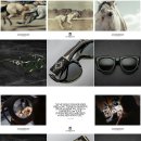 마리안경 이미지