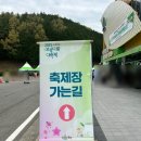 5월 전라도 축제 아이와 가볼만한 곳 보성 다향대축제