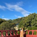 단풍스테이 | 경기도 템플스테이 용인 단풍 화운사 후기